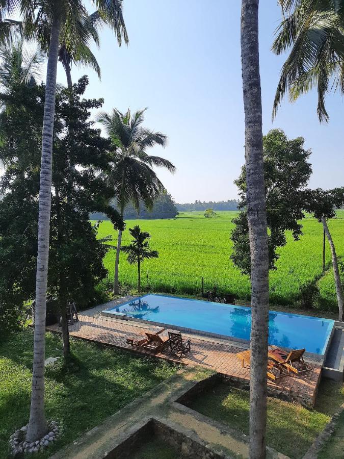 Rice Rice Villas 蒂瑟默哈拉默 外观 照片
